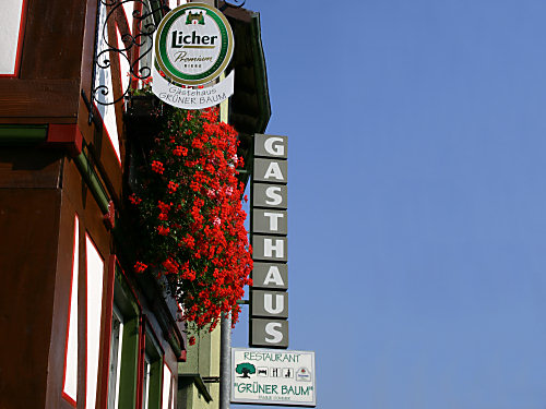 Appartementhaus Grüner Baum